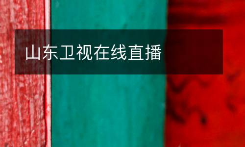 山東衛(wèi)視在線(xiàn)直播